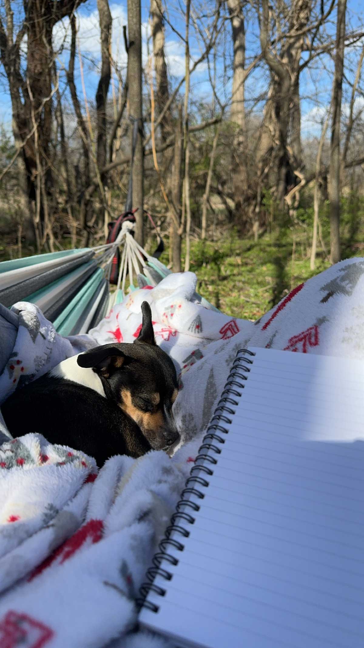 Hammocking